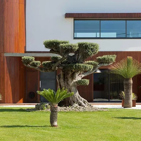 Bed & Breakfast Miramar 5*