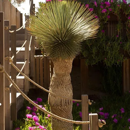 Miramar 5* Frontignan