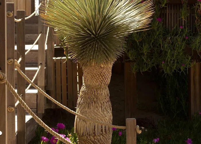 Miramar 5* Фронтиньян